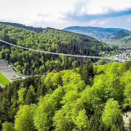 Apartment Chalet-suite By Meis In - Erholung Pur! Willingen (Upland)